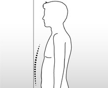 abdomen normal